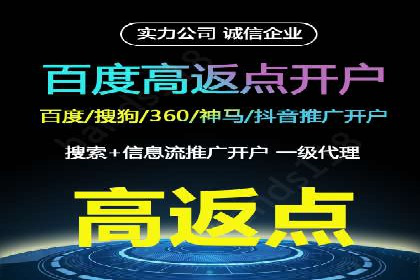 行业领先企业的SEM广告投放策略案例
